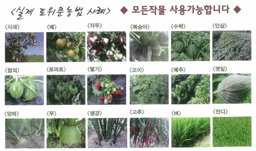 カサネン工業-韓国栽培種類